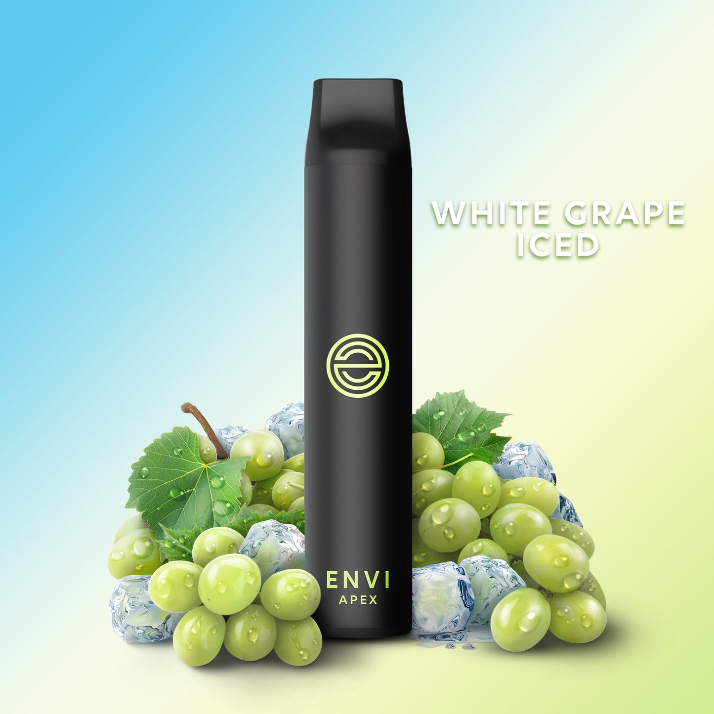 Envi 2500