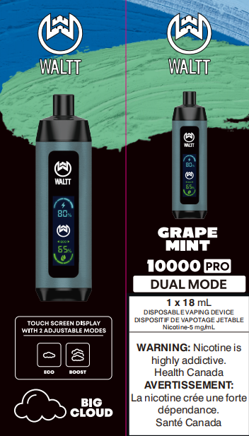 Waltt Shisha 10000 (5mg Low Nic)